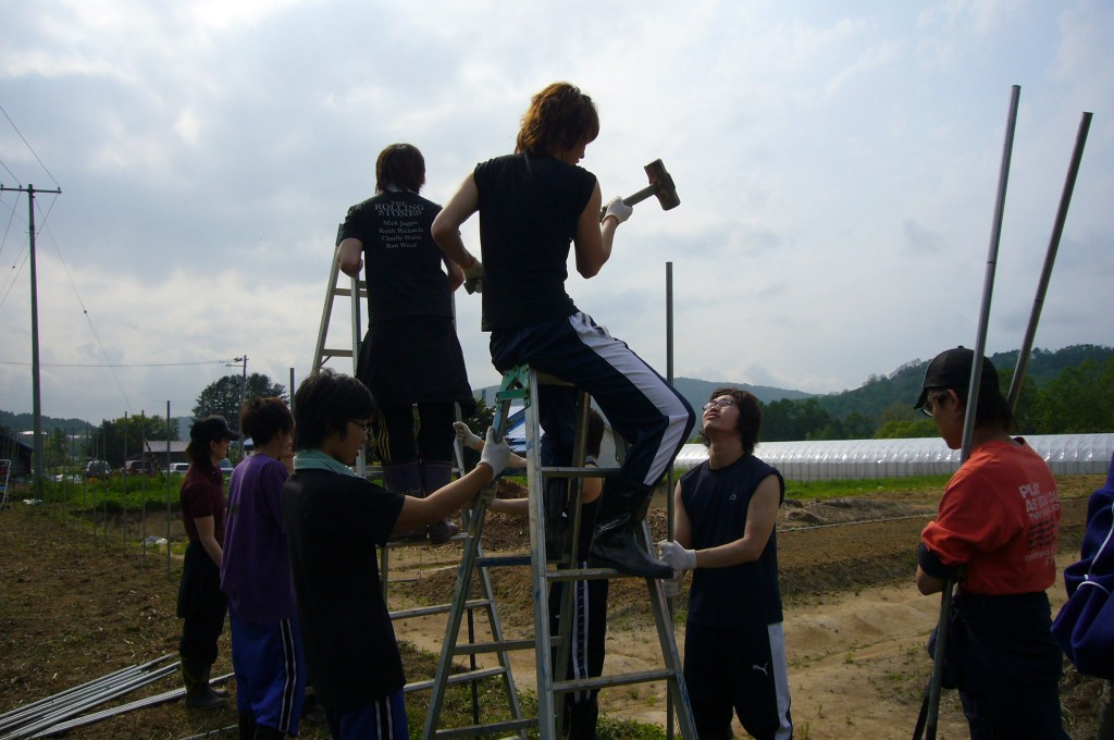 p1010049